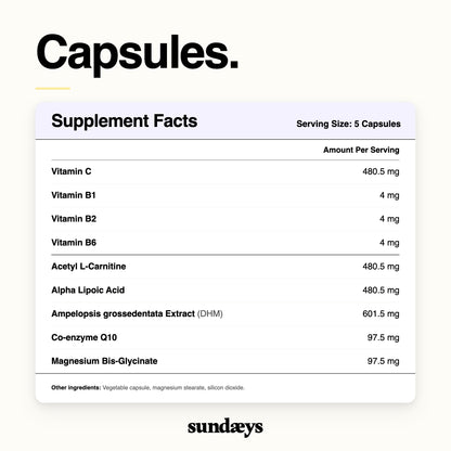 sundæys – The Standard